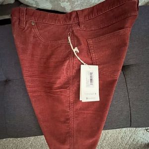 New, Carve Design shorts 10" inseam -